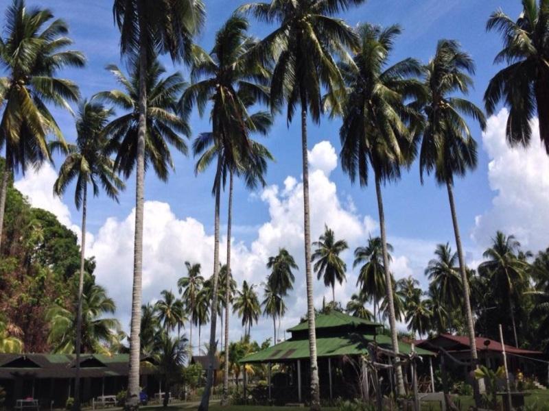 Fishing Bay Resort Mersing Eksteriør billede